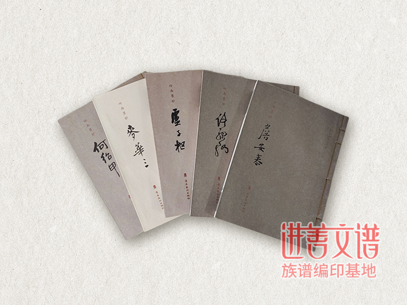 长安村志编修